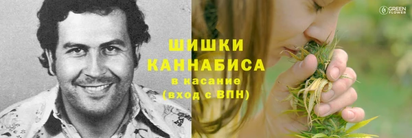 крисы Дмитровск