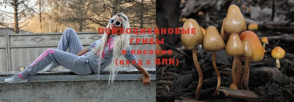 крисы Дмитровск